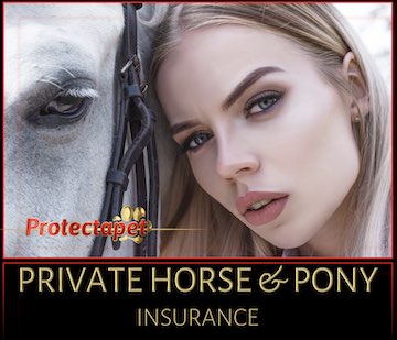 Woman with her face against a white horse promoting horse and rider insurance by Protectapet 